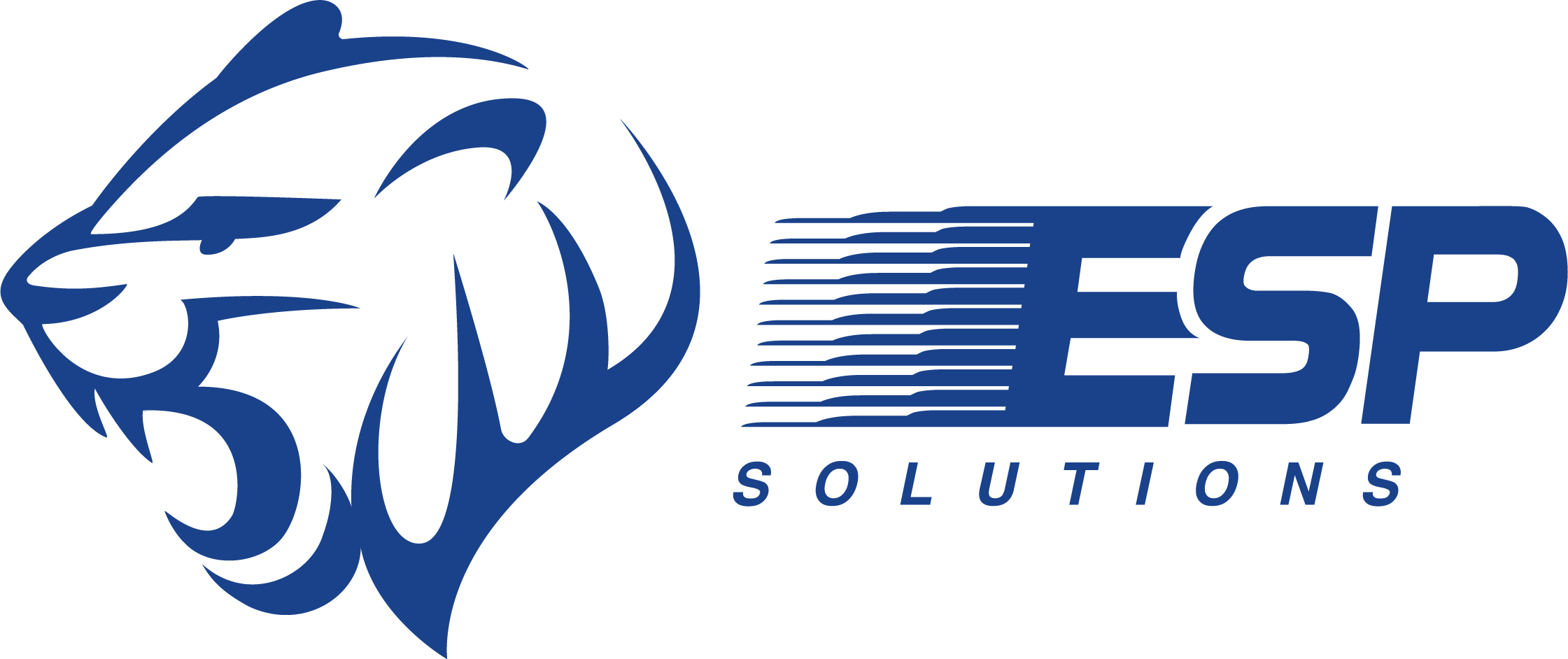 ESP-Solutions